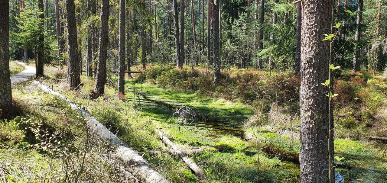 Eco Domek Z Duzym Ogrodem I Widokiem Murzasichle Kültér fotó