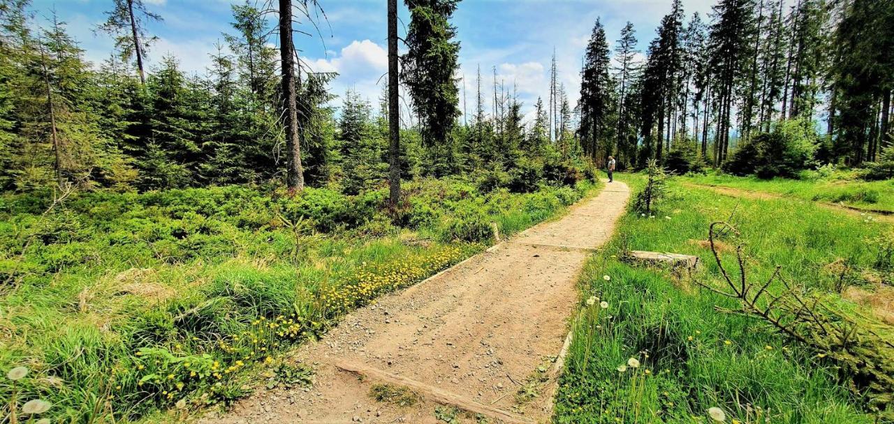 Eco Domek Z Duzym Ogrodem I Widokiem Murzasichle Kültér fotó