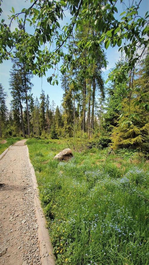 Eco Domek Z Duzym Ogrodem I Widokiem Murzasichle Kültér fotó