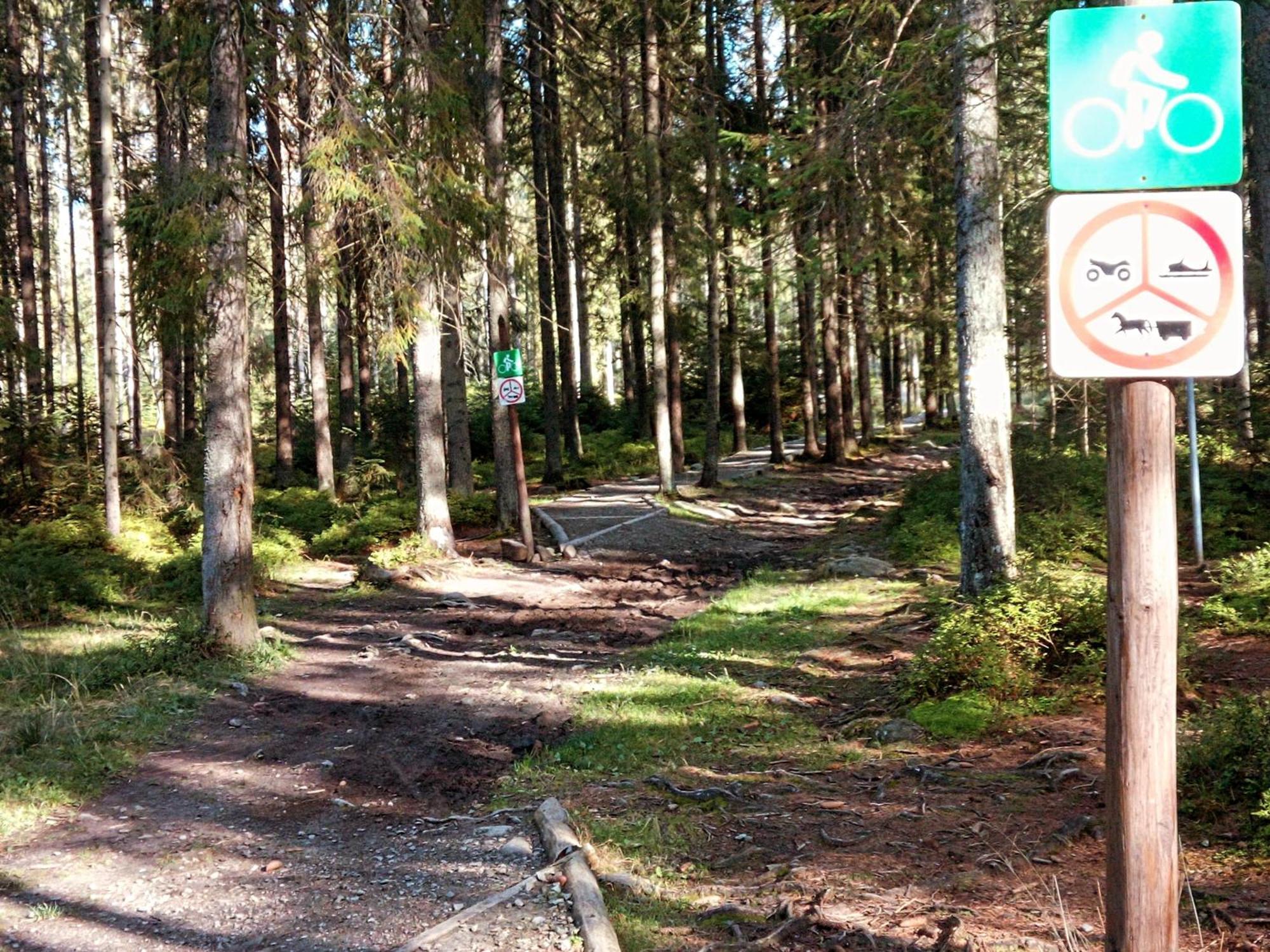 Eco Domek Z Duzym Ogrodem I Widokiem Murzasichle Kültér fotó